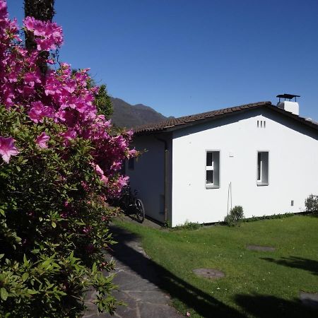 Residenza Paradiso Di Vacanze Minusio Exteriör bild
