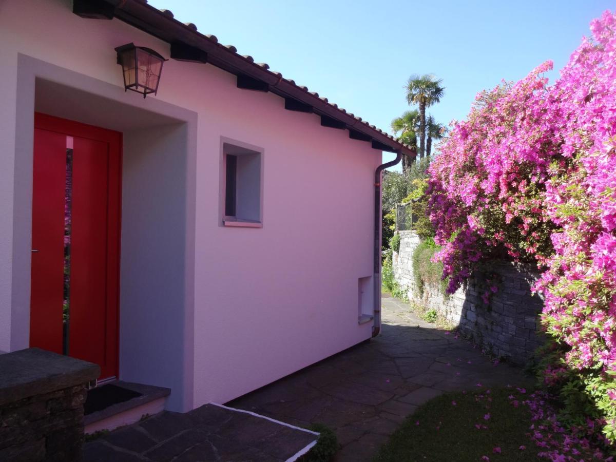 Residenza Paradiso Di Vacanze Minusio Exteriör bild
