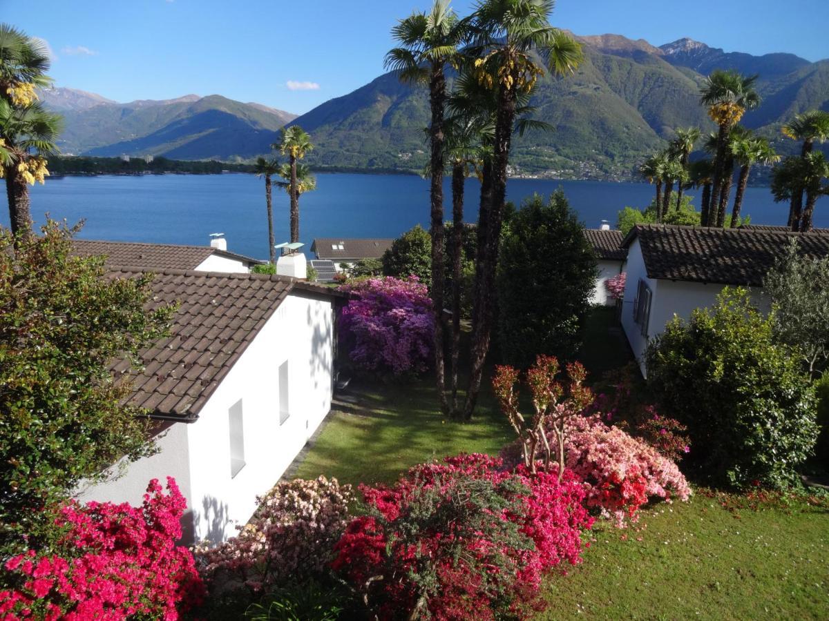 Residenza Paradiso Di Vacanze Minusio Exteriör bild