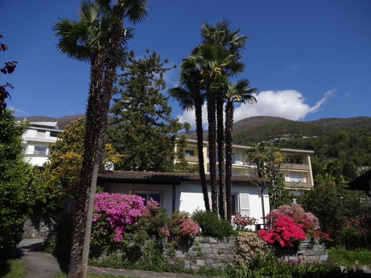Residenza Paradiso Di Vacanze Minusio Exteriör bild