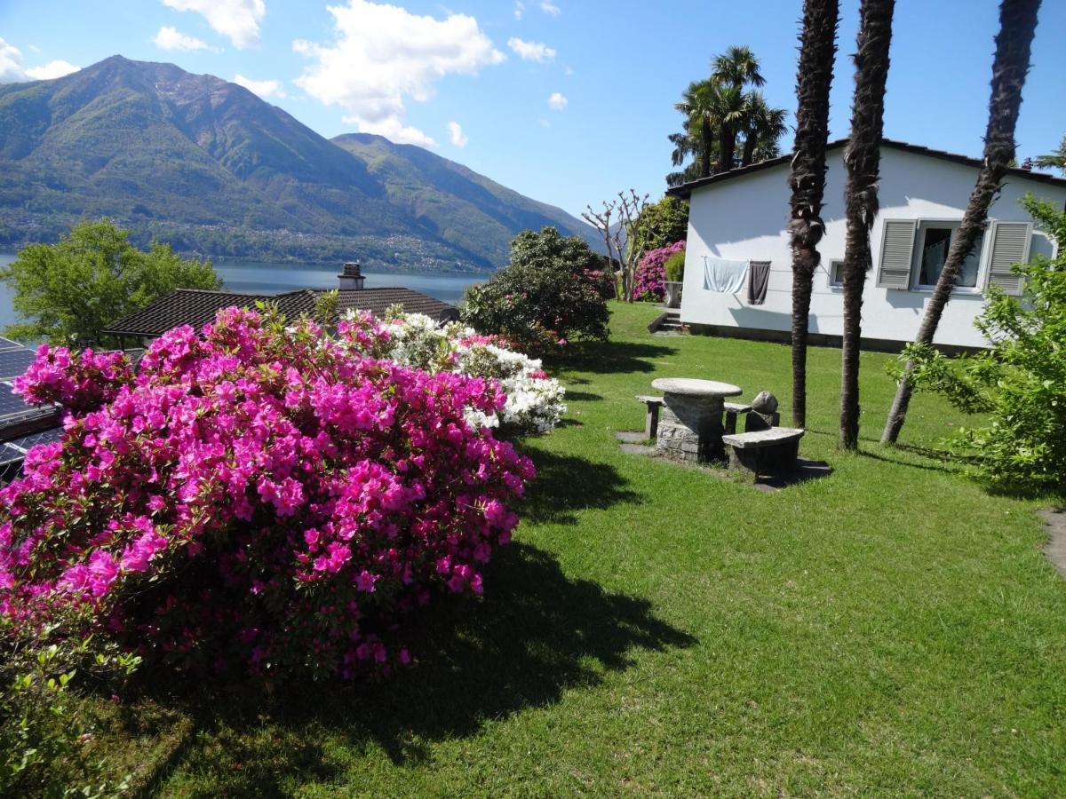 Residenza Paradiso Di Vacanze Minusio Exteriör bild
