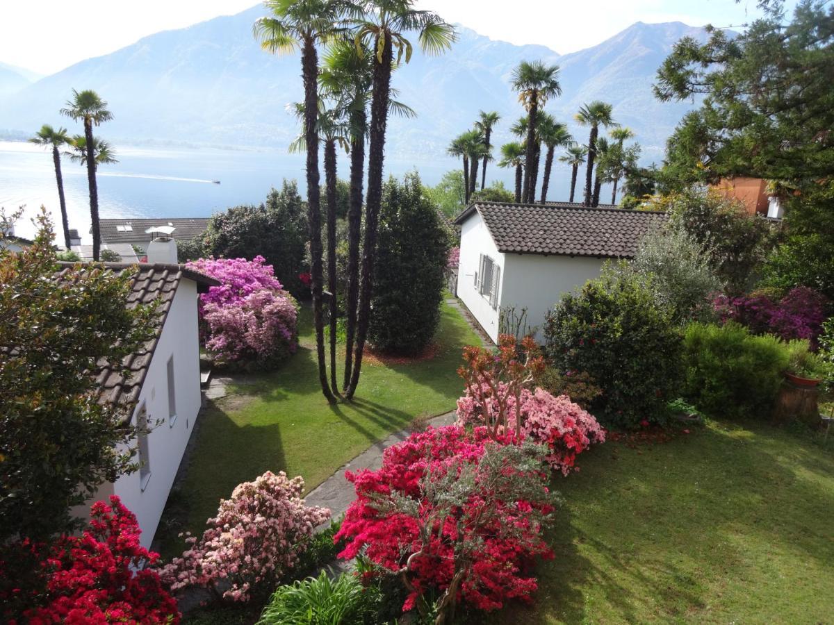 Residenza Paradiso Di Vacanze Minusio Exteriör bild