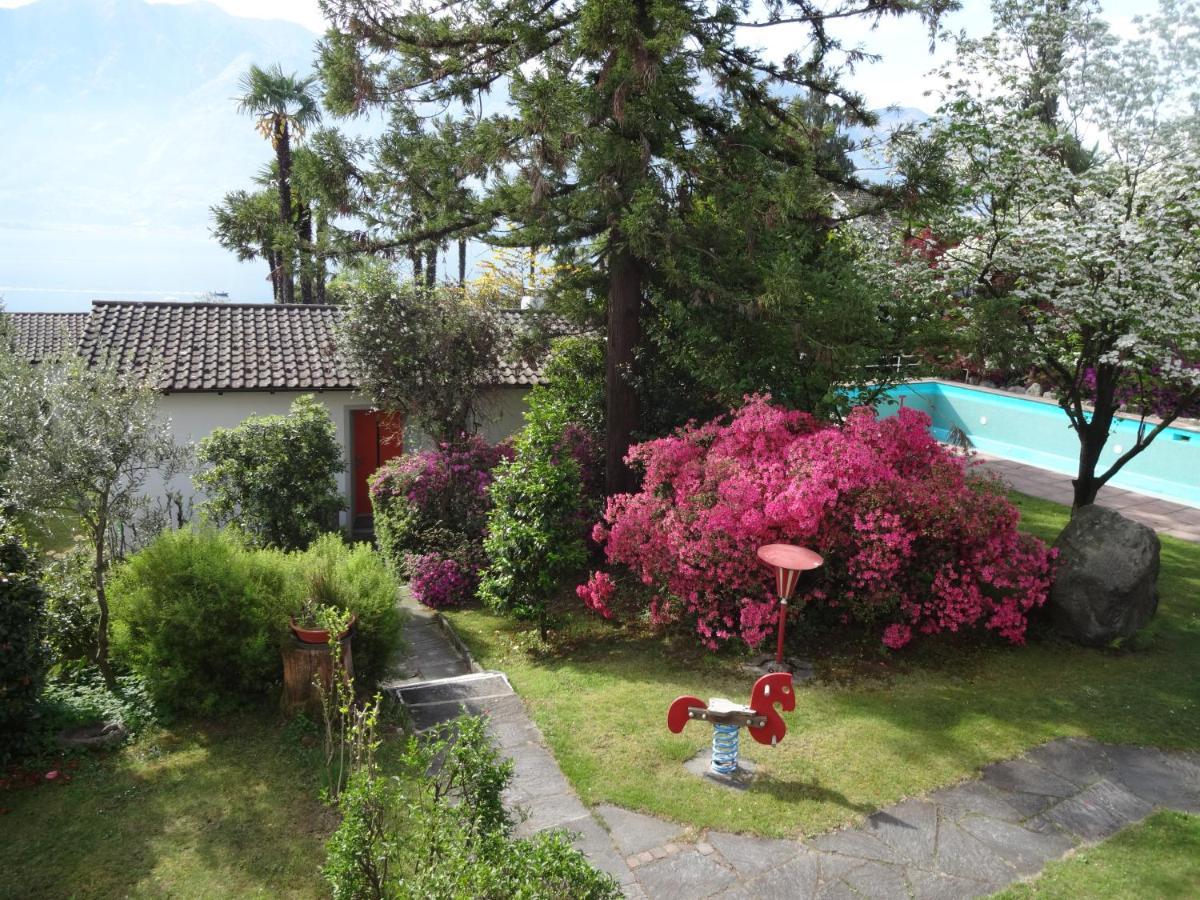 Residenza Paradiso Di Vacanze Minusio Exteriör bild