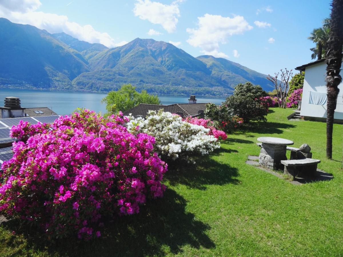 Residenza Paradiso Di Vacanze Minusio Exteriör bild