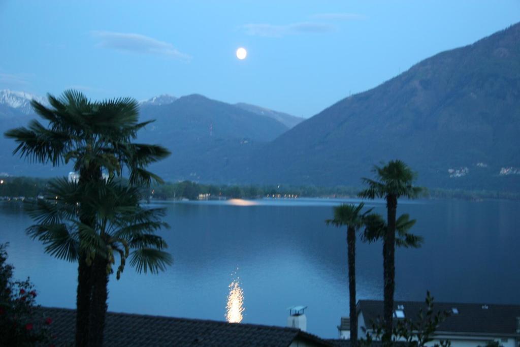 Residenza Paradiso Di Vacanze Minusio Exteriör bild