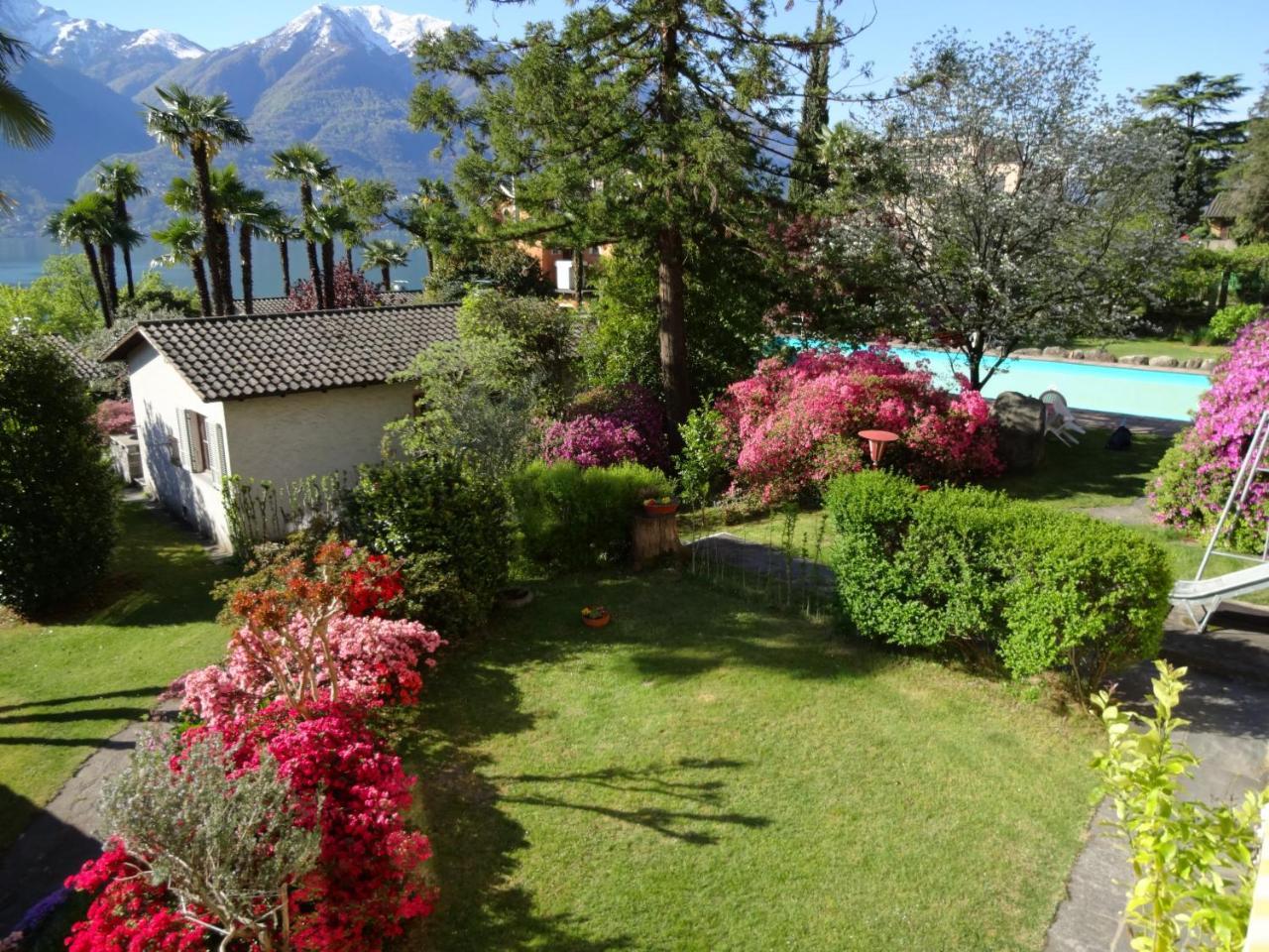Residenza Paradiso Di Vacanze Minusio Exteriör bild