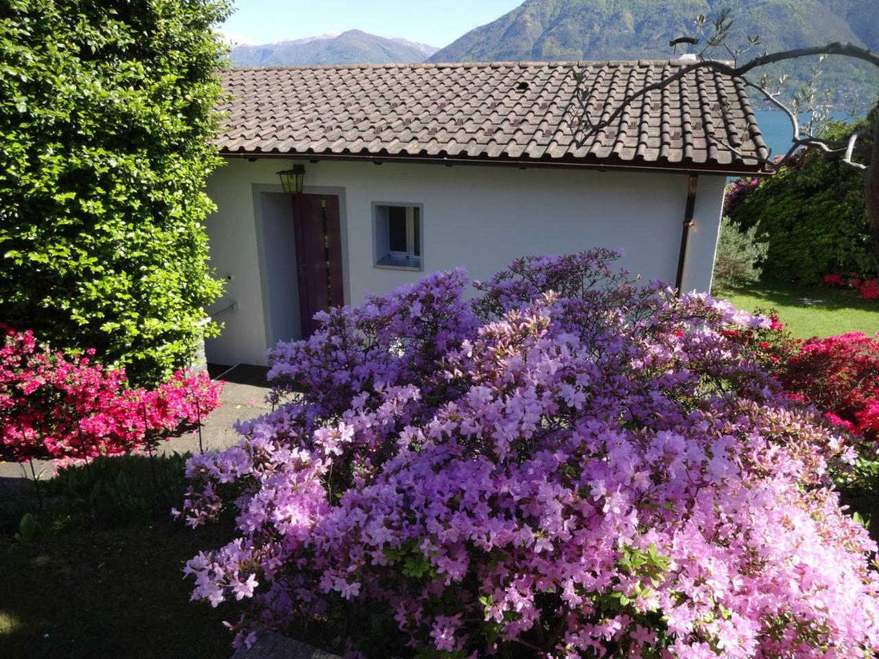 Residenza Paradiso Di Vacanze Minusio Exteriör bild