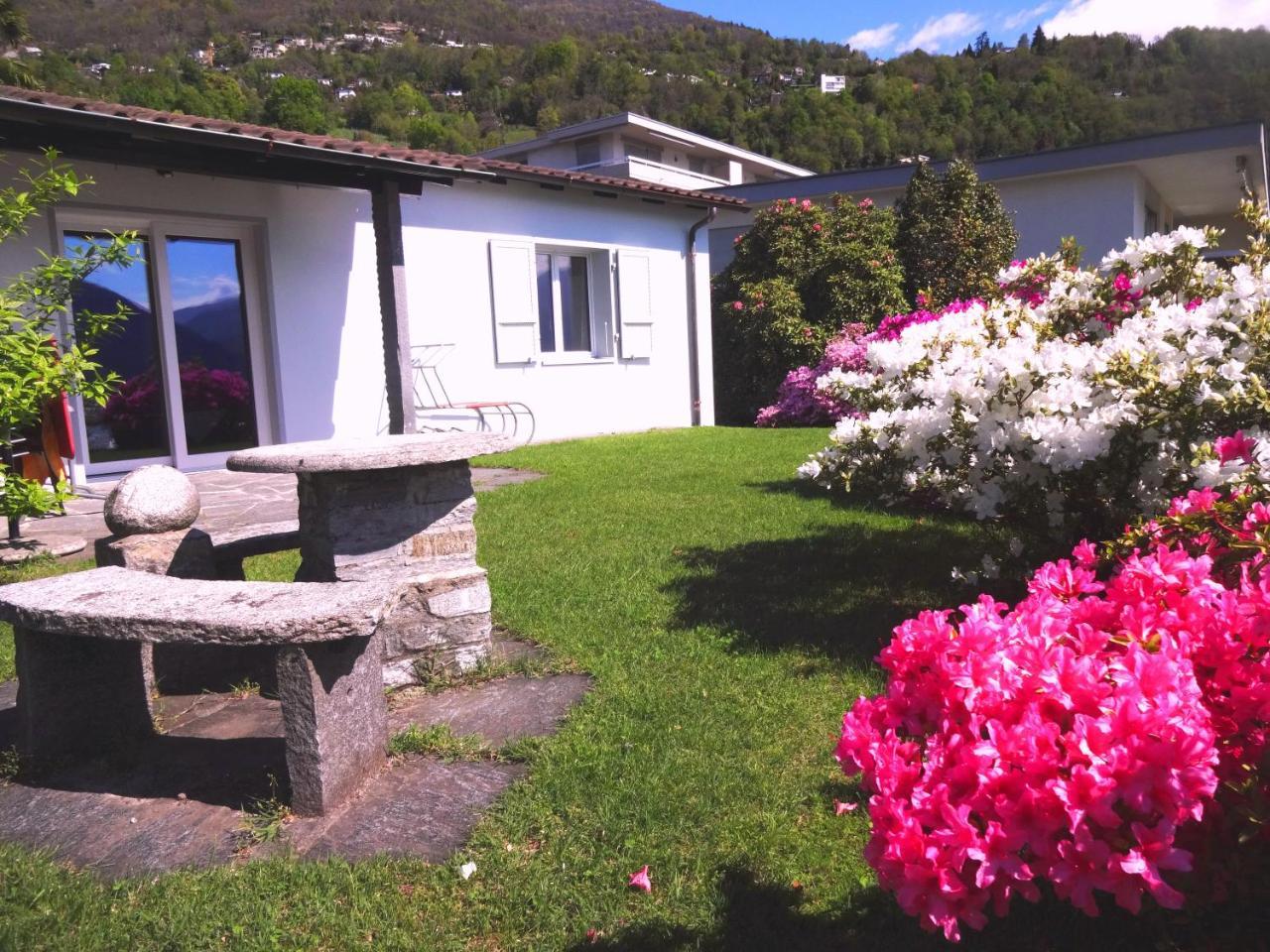 Residenza Paradiso Di Vacanze Minusio Exteriör bild